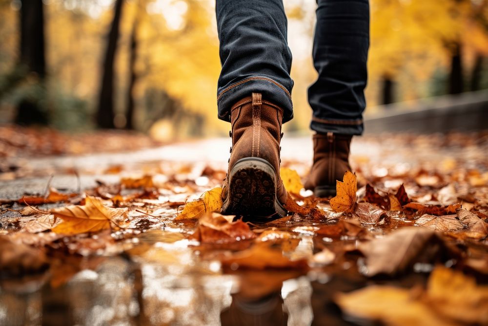Back to Routine: Why Fall Is the Perfect Time to Reset Your Health and Work Habits